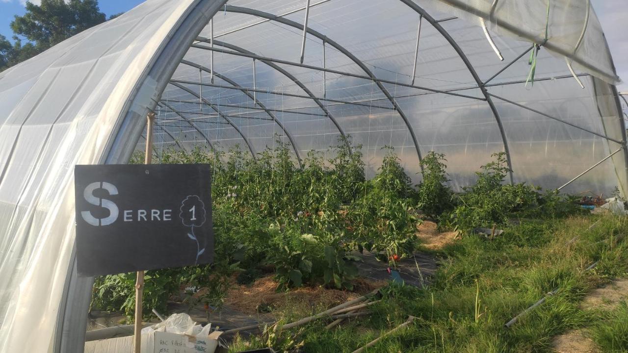 Eco-Gite A La Ferme D'Elles Saint-Andre-de-l'Epine Extérieur photo